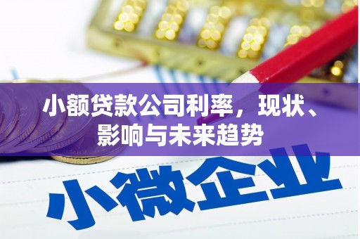 伊通小额贷款公司利率，现状、影响与未来趋势