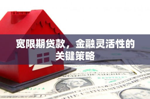 伊通宽限期贷款，金融灵活性的关键策略