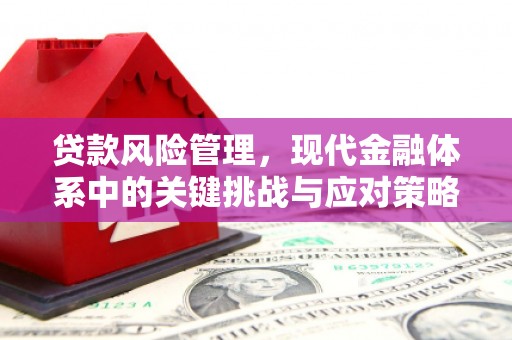 伊通贷款风险管理，现代金融体系中的关键挑战与应对策略