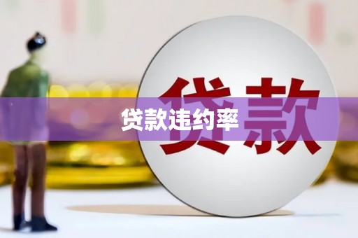 伊通贷款违约率