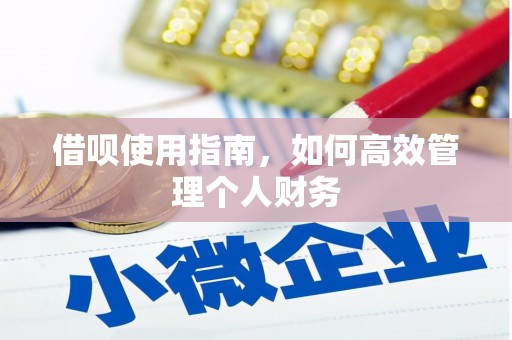 伊通借呗使用指南，如何高效管理个人财务