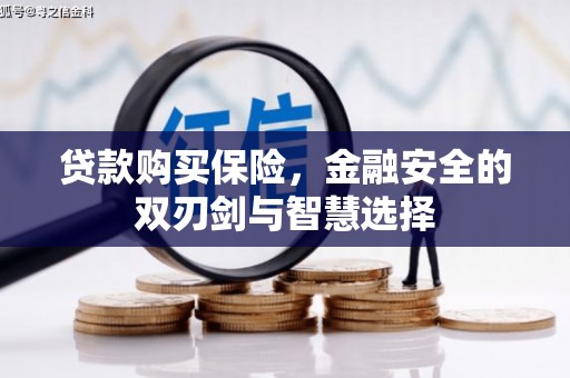伊通贷款购买保险，金融安全的双刃剑与智慧选择