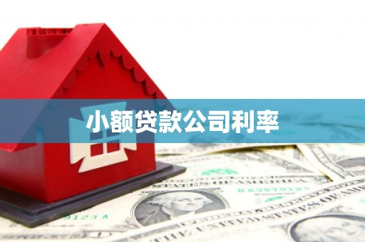伊通小额贷款公司利率