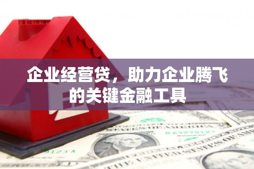 伊通企业经营贷，助力企业腾飞的关键金融工具