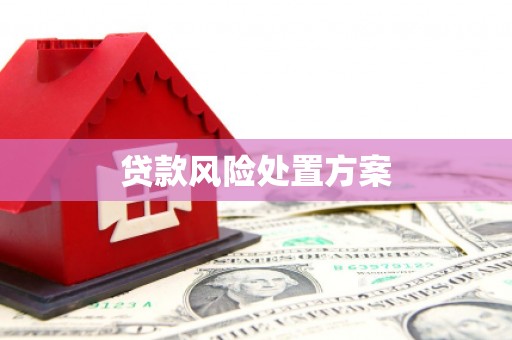 伊通贷款风险处置方案