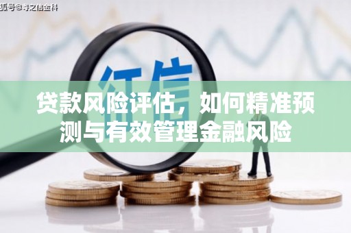 伊通贷款风险评估，如何精准预测与有效管理金融风险