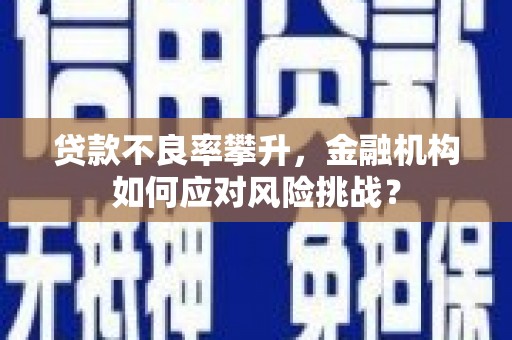 伊通贷款不良率攀升，金融机构如何应对风险挑战？