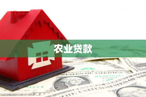 伊通农业贷款