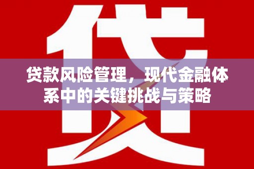 伊通贷款风险管理，现代金融体系中的关键挑战与策略