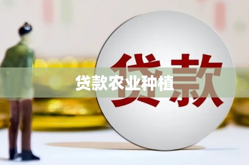 伊通贷款农业种植