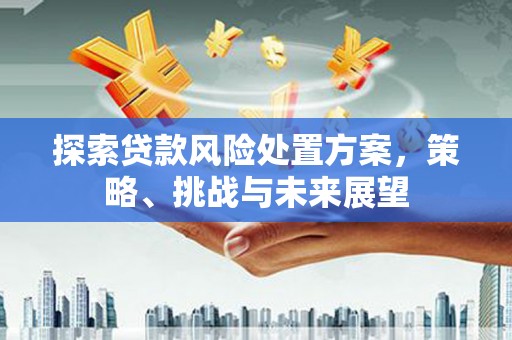 伊通探索贷款风险处置方案，策略、挑战与未来展望