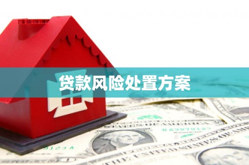 伊通贷款风险处置方案