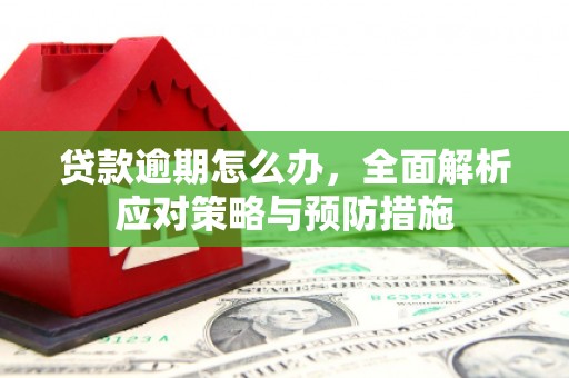 伊通贷款逾期怎么办，全面解析应对策略与预防措施