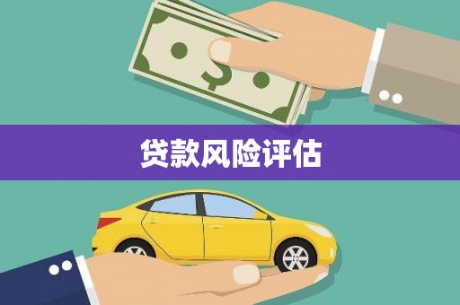伊通贷款风险评估