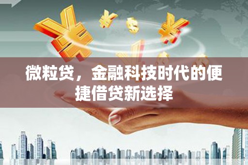 伊通微粒贷，金融科技时代的便捷借贷新选择