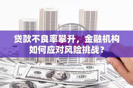 伊通贷款不良率攀升，金融机构如何应对风险挑战？