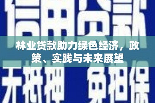 伊通林业贷款助力绿色经济，政策、实践与未来展望