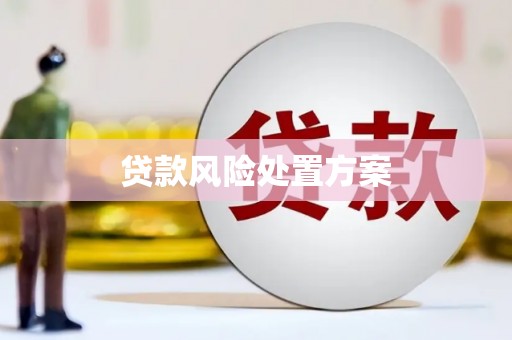 伊通贷款风险处置方案