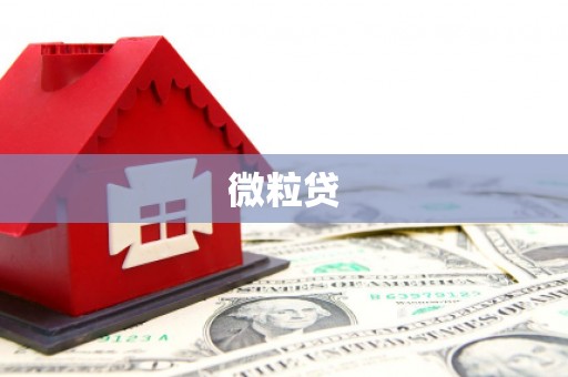 伊通微粒贷